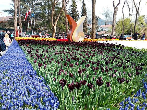 2017 lale emirgan_9442.jpg