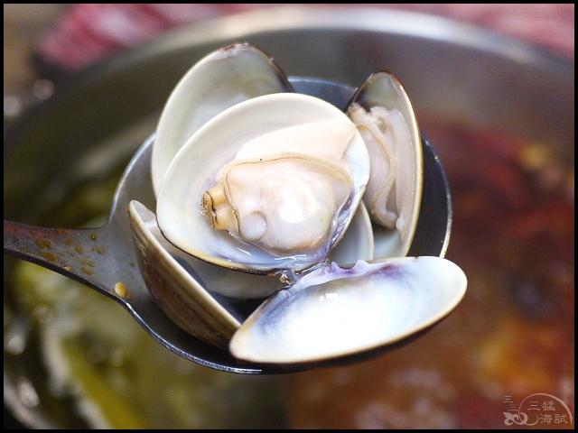 029.jpg 029.jpg