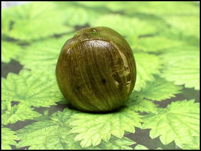 011.jpg 011.jpg