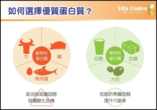 Vitacodes大豆胜肽群精020.jpg Vitacodes大豆胜肽群精020.jpg