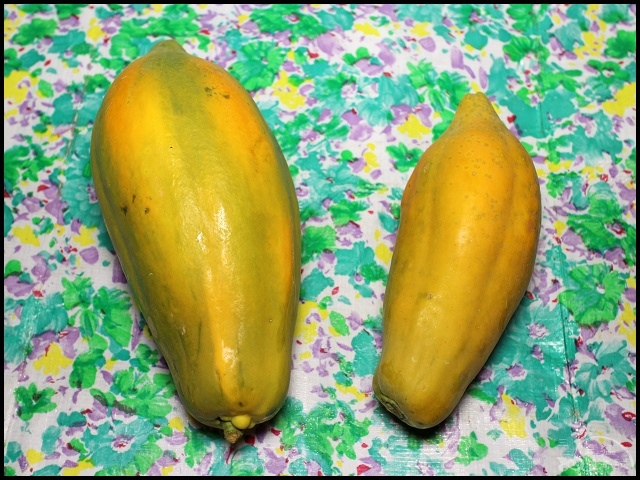 007.jpg 007.jpg