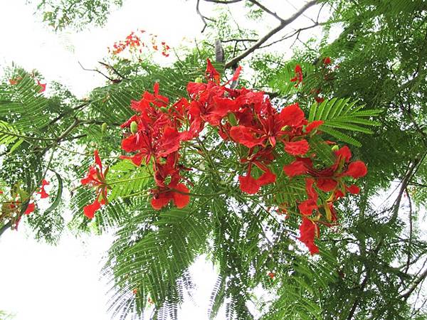 2013.9.2-12 -- 花蓮雲山水