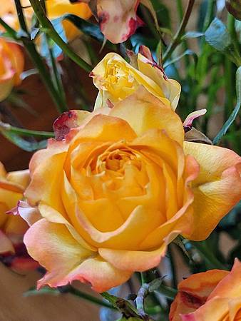 【琴房教學文 】琴鍵上的初春 幫所有學生錄曲子(2023年7