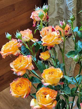 【琴房教學文 】琴鍵上的初春 幫所有學生錄曲子(2023年7