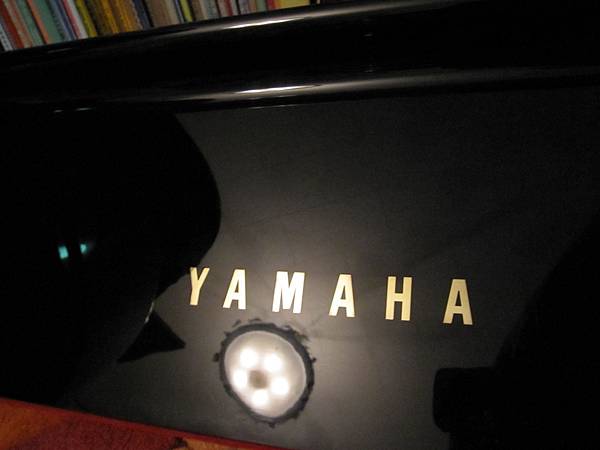 38.YAMAHA G2.JPG