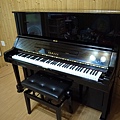 台南鹽行吳小姐-YAMAHA U.P(日本原裝3號米字琴)10