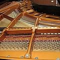 Bosendorfer 280 單弦系統 B 13.JPG