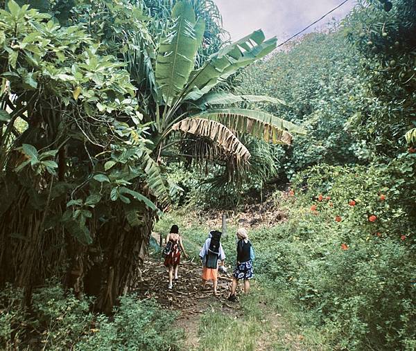 大溪地／波哈波哈島