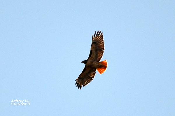 2DSC_1075 2DSC_1075