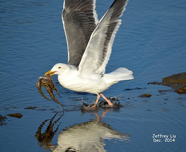 DSC_2369 DSC_2369