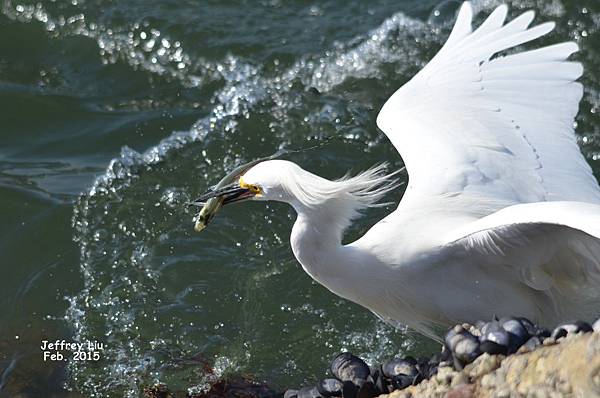 DSC_2451 DSC_2451