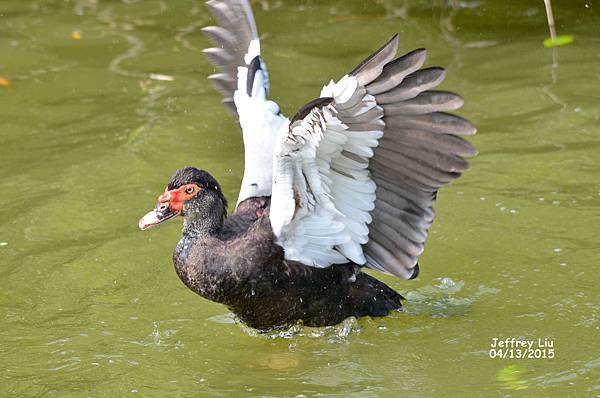 2DSC_3309 2DSC_3309