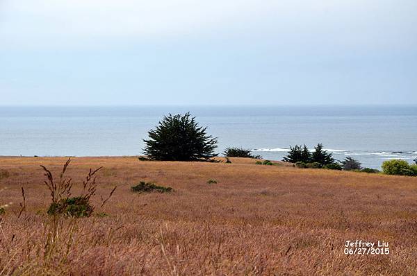 3DSC_2681 3DSC_2681