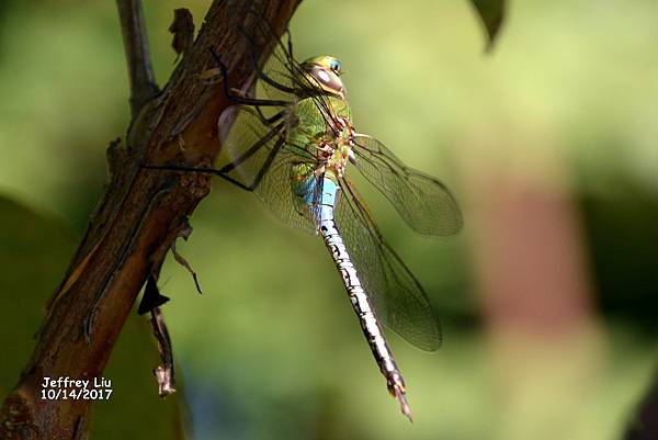 DSC_5777 DSC_5777
