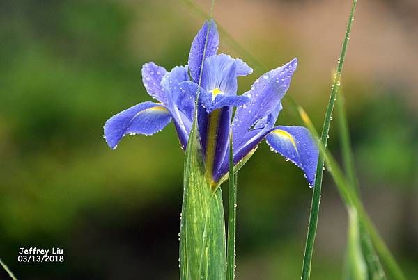 DSC_2534 DSC_2534