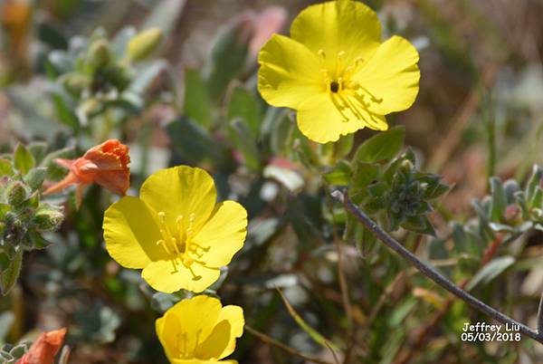 DSC_4777 DSC_4777