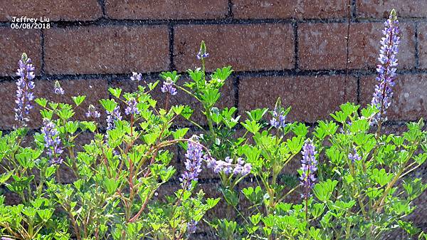 DSC_1544 DSC_1544