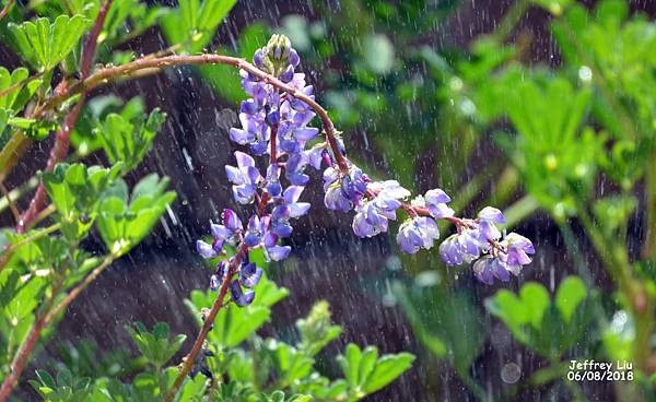 DSC_1549 DSC_1549