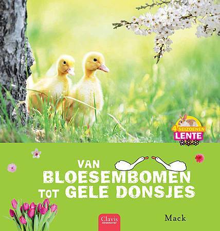 CV_Spring (Van bloesembomen tot gele donsjes)