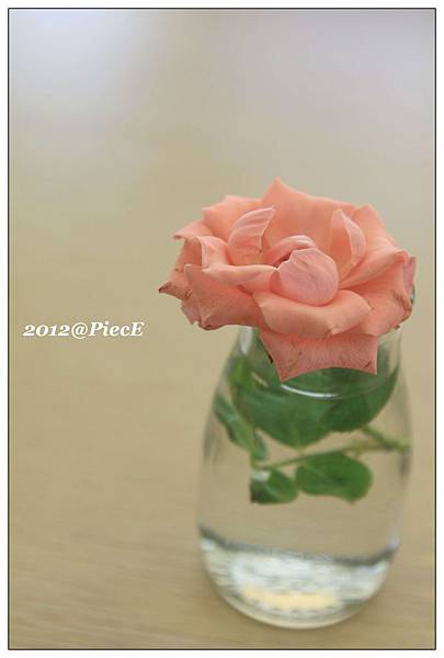 IMG_7700 IMG_7700
