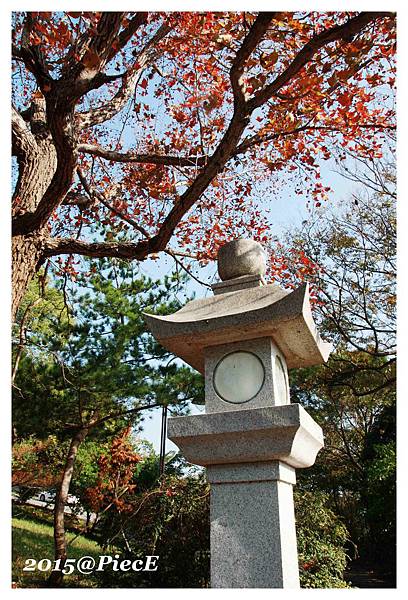 IMG_2781_副本.jpg IMG_2781_副本.jpg