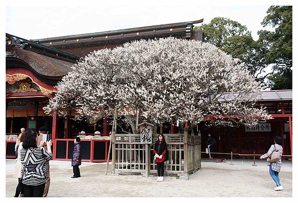 IMG_5569_副本.jpg IMG_5569_副本.jpg