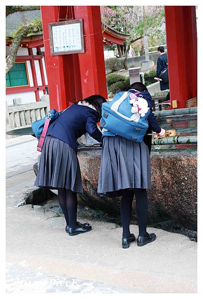 IMG_5597_副本.jpg IMG_5597_副本.jpg