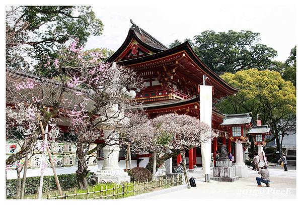 IMG_5601_副本.jpg IMG_5601_副本.jpg