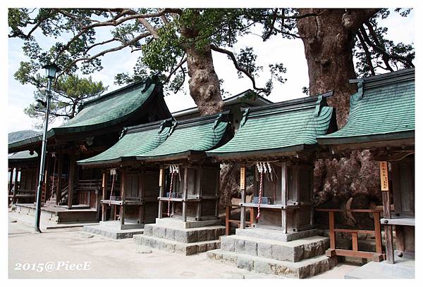 IMG_5650_副本.jpg IMG_5650_副本.jpg