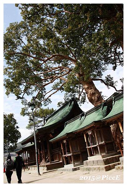 IMG_5658_副本.jpg IMG_5658_副本.jpg