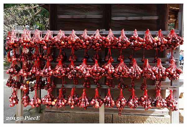 IMG_5675_副本.jpg IMG_5675_副本.jpg