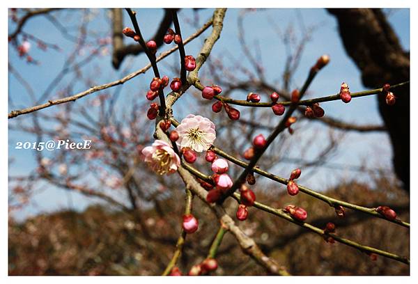 IMG_5718_副本.jpg IMG_5718_副本.jpg