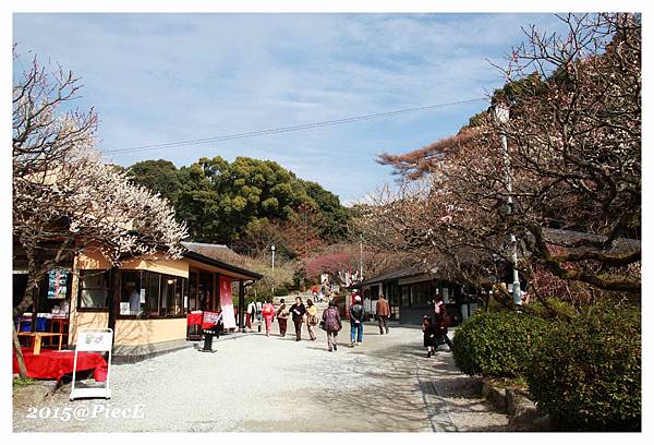 IMG_5722_副本.jpg IMG_5722_副本.jpg