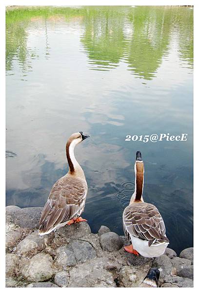 IMG_4424_副本.jpg IMG_4424_副本.jpg