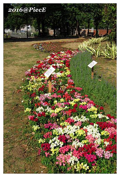 IMG_6059_副本.jpg IMG_6059_副本.jpg