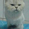 熊熊