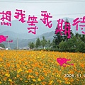 雅芳給.jpg