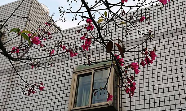 _20200215_165734.JPG _20200215_165734.JPG