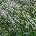 20201008_155325.jpg