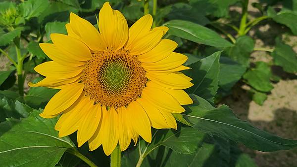 20221119_083825.jpg 20221119_083825.jpg