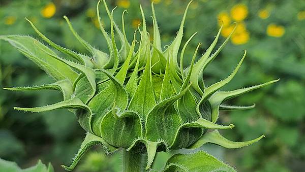 20221119_090038.jpg 20221119_090038.jpg