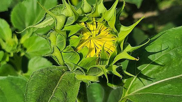 20221119_090207.jpg 20221119_090207.jpg