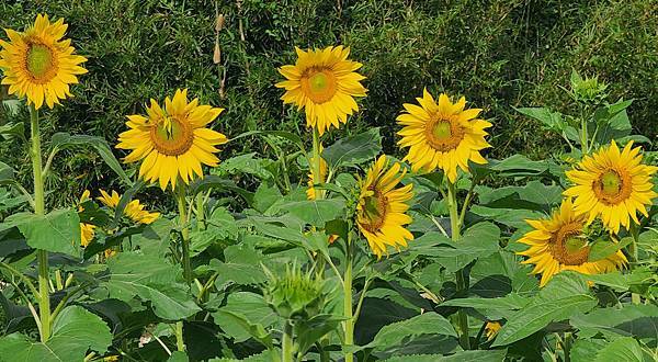 20221119_091244.jpg 20221119_091244.jpg