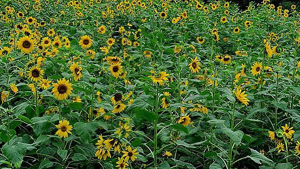 20221119_121950.jpg 20221119_121950.jpg