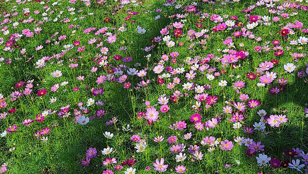 20221128_085047.jpg 20221128_085047.jpg