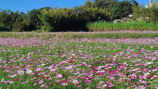 20221128_085454.jpg 20221128_085454.jpg