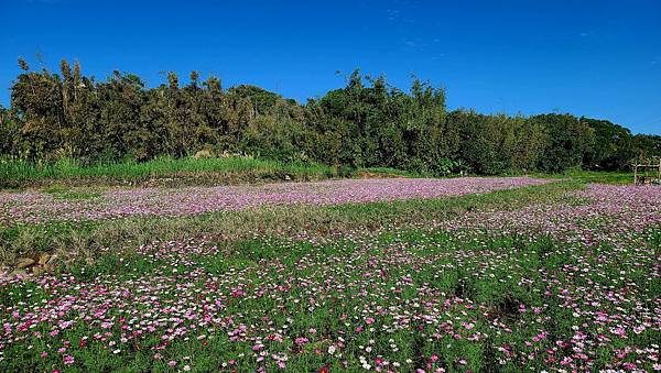 20221128_090101.jpg 20221128_090101.jpg