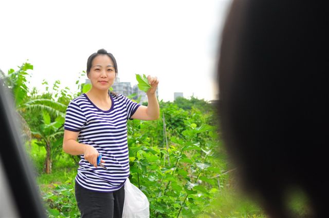 照片 111.jpg 照片 111.jpg