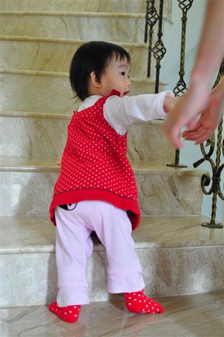 照片 389.jpg 照片 389.jpg
