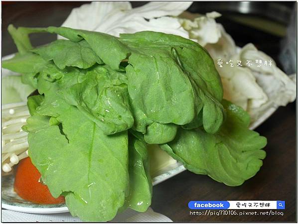 【新北市三重/美食】霸氣海鮮船超浮誇!新鮮活體龍蝦直送,保證新鮮!文末告訴你如何獲得免費的手工花枝漿~鼎 精緻涮涮鍋 【新北市三重/美食】霸氣海鮮船超浮誇!新鮮活體龍蝦直送,保證新鮮!文末告訴你如何獲得免費的手工花枝漿~鼎 精緻涮涮鍋